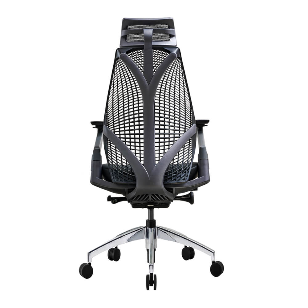 เก้าอี้เพื่อสุขภาพ DF PROCHAIR รุ่น iCare สีดำ